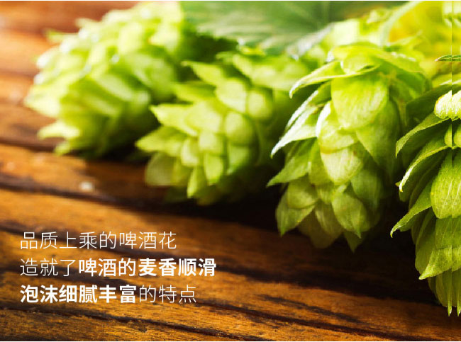 8090ơơഺ{500ml